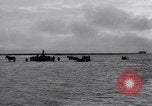 Standbild Lachs Astoria Oregon USA, 1937, aus Sekunde 14 historischem Filmmaterial Videoclip 65675038360