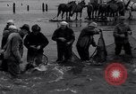 Standbild Lachs Astoria Oregon USA, 1937, aus Sekunde 18 historischem Filmmaterial Videoclip 65675038360