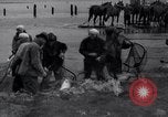 Standbild Lachs Astoria Oregon USA, 1937, aus Sekunde 19 historischem Filmmaterial Videoclip 65675038360