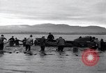 Standbild Lachs Astoria Oregon USA, 1937, aus Sekunde 22 historischem Filmmaterial Videoclip 65675038360