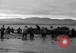 Standbild Lachs Astoria Oregon USA, 1937, aus Sekunde 24 historischem Filmmaterial Videoclip 65675038360