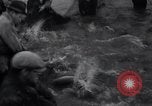 Standbild Lachs Astoria Oregon USA, 1937, aus Sekunde 29 historischem Filmmaterial Videoclip 65675038360
