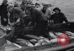 Standbild Lachs Astoria Oregon USA, 1937, aus Sekunde 41 historischem Filmmaterial Videoclip 65675038360