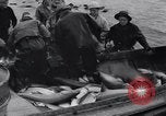 Standbild Lachs Astoria Oregon USA, 1937, aus Sekunde 42 historischem Filmmaterial Videoclip 65675038360
