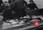 Standbild Lachs Astoria Oregon USA, 1937, aus Sekunde 44 historischem Filmmaterial Videoclip 65675038360