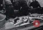 Standbild Lachs Astoria Oregon USA, 1937, aus Sekunde 46 historischem Filmmaterial Videoclip 65675038360
