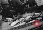 Standbild Lachs Astoria Oregon USA, 1937, aus Sekunde 47 historischem Filmmaterial Videoclip 65675038360