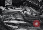 Standbild Lachs Astoria Oregon USA, 1937, aus Sekunde 48 historischem Filmmaterial Videoclip 65675038360