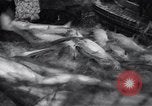 Standbild Lachs Astoria Oregon USA, 1937, aus Sekunde 49 historischem Filmmaterial Videoclip 65675038360