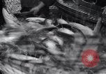 Standbild Lachs Astoria Oregon USA, 1937, aus Sekunde 51 historischem Filmmaterial Videoclip 65675038360