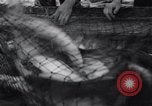 Standbild Lachs Astoria Oregon USA, 1937, aus Sekunde 61 historischem Filmmaterial Videoclip 65675038360