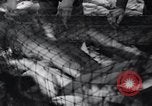 Standbild Lachs Astoria Oregon USA, 1937, aus Sekunde 62 historischem Filmmaterial Videoclip 65675038360
