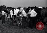 Standbild Polo Match Sands Point New York USA, 1937, aus Sekunde 12 historischem Filmmaterial Videoclip 65675038362