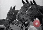 Standbild Polo Match Sands Point New York USA, 1937, aus Sekunde 18 historischem Filmmaterial Videoclip 65675038362