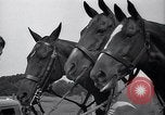 Standbild Polo Match Sands Point New York USA, 1937, aus Sekunde 20 historischem Filmmaterial Videoclip 65675038362