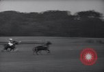 Standbild Polo Match Sands Point New York USA, 1937, aus Sekunde 46 historischem Filmmaterial Videoclip 65675038362