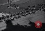 Standbild Rosemont gewinnt Pferderennen Arcadia California USA, 1937, aus Sekunde 10 historischem Filmmaterial Videoclip 65675038373