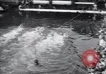 Standbild New South Wales Meisterschaft Sydney Australien, 1928, aus Sekunde 49 historischem Filmmaterial Videoclip 65675038374