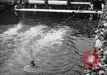 Standbild New South Wales Meisterschaft Sydney Australien, 1928, aus Sekunde 50 historischem Filmmaterial Videoclip 65675038374