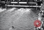 Standbild New South Wales Meisterschaft Sydney Australien, 1928, aus Sekunde 55 historischem Filmmaterial Videoclip 65675038374