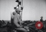 Standbild Kavallerie Einheiten Konstantinopel Türkei, 1928, aus Sekunde 27 historischem Filmmaterial Videoclip 65675038376