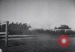 Standbild Kavallerie Einheiten Konstantinopel Türkei, 1928, aus Sekunde 46 historischem Filmmaterial Videoclip 65675038376