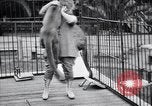Standbild Olga Celeste Los Angeles California USA, 1928, aus Sekunde 18 historischem Filmmaterial Videoclip 65675038378
