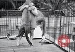 Standbild Olga Celeste Los Angeles California USA, 1928, aus Sekunde 20 historischem Filmmaterial Videoclip 65675038378