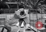 Standbild Olga Celeste Los Angeles California USA, 1928, aus Sekunde 30 historischem Filmmaterial Videoclip 65675038378