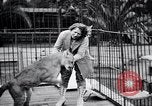 Standbild Olga Celeste Los Angeles California USA, 1928, aus Sekunde 31 historischem Filmmaterial Videoclip 65675038378