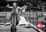 Standbild Olga Celeste Los Angeles California USA, 1928, aus Sekunde 33 historischem Filmmaterial Videoclip 65675038378