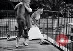 Standbild Olga Celeste Los Angeles California USA, 1928, aus Sekunde 34 historischem Filmmaterial Videoclip 65675038378