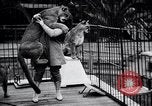 Standbild Olga Celeste Los Angeles California USA, 1928, aus Sekunde 37 historischem Filmmaterial Videoclip 65675038378