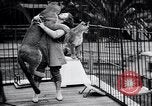 Standbild Olga Celeste Los Angeles California USA, 1928, aus Sekunde 38 historischem Filmmaterial Videoclip 65675038378
