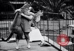 Standbild Olga Celeste Los Angeles California USA, 1928, aus Sekunde 39 historischem Filmmaterial Videoclip 65675038378