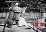 Standbild Olga Celeste Los Angeles California USA, 1928, aus Sekunde 40 historischem Filmmaterial Videoclip 65675038378