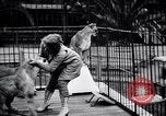 Standbild Olga Celeste Los Angeles California USA, 1928, aus Sekunde 42 historischem Filmmaterial Videoclip 65675038378