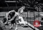 Standbild Olga Celeste Los Angeles California USA, 1928, aus Sekunde 43 historischem Filmmaterial Videoclip 65675038378