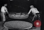 Standbild potters Rad United States USA, 1927, aus Sekunde 17 historischem Filmmaterial Videoclip 65675038419