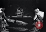 Standbild potters Rad United States USA, 1927, aus Sekunde 22 historischem Filmmaterial Videoclip 65675038419