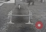 Image of Nine year old boy champion equestrian Wilmington Ohio USA, 1935, second 13 stock footage video 65675038436