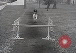 Image of Nine year old boy champion equestrian Wilmington Ohio USA, 1935, second 15 stock footage video 65675038436