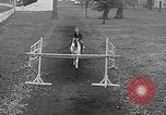 Image of Nine year old boy champion equestrian Wilmington Ohio USA, 1935, second 16 stock footage video 65675038436