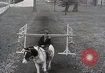 Image of Nine year old boy champion equestrian Wilmington Ohio USA, 1935, second 18 stock footage video 65675038436