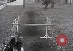Image of Nine year old boy champion equestrian Wilmington Ohio USA, 1935, second 19 stock footage video 65675038436