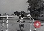 Image of Nine year old boy champion equestrian Wilmington Ohio USA, 1935, second 32 stock footage video 65675038436