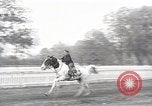 Image of Nine year old boy champion equestrian Wilmington Ohio USA, 1935, second 36 stock footage video 65675038436