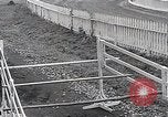 Image of Nine year old boy champion equestrian Wilmington Ohio USA, 1935, second 40 stock footage video 65675038436
