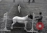 Image of Nine year old boy champion equestrian Wilmington Ohio USA, 1935, second 42 stock footage video 65675038436