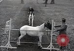 Image of Nine year old boy champion equestrian Wilmington Ohio USA, 1935, second 43 stock footage video 65675038436